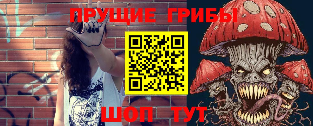 Видное  Псилоцибиновые грибы MAGIC MUSHROOMS  Вход с VPN  Псилоцибиновые грибы мицелий 