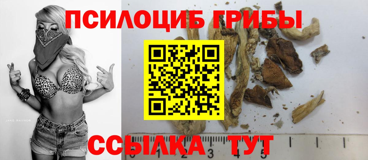 Галлюциногенные грибы Psilocybe Видное